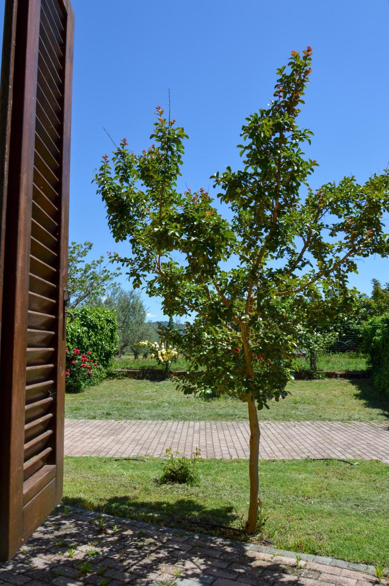 בולסנה Agriturismo "La Fraschetta" מראה חיצוני תמונה